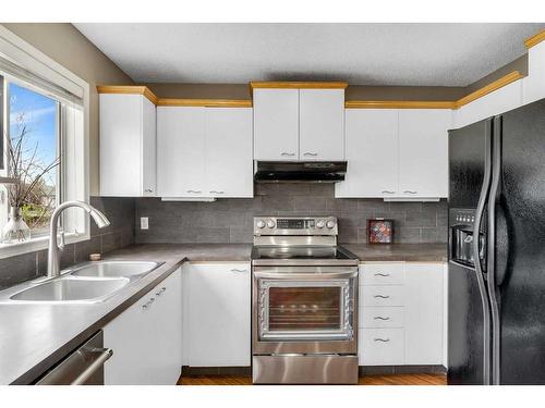 285 Hidden Spring Green Nw, Calgary, AB - Indoor Photo Showing Kitchen With Double Sink