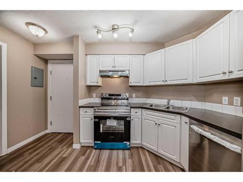 214-2000 Applevillage Court Se, Calgary, AB - Indoor Photo Showing Kitchen With Double Sink