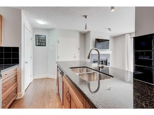 1-216 Village Terrace Sw, Calgary, AB - Indoor Photo Showing Kitchen With Double Sink