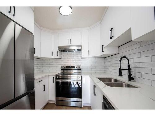 101 Pineson Place Ne, Calgary, AB - Indoor Photo Showing Kitchen With Double Sink With Upgraded Kitchen