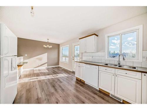 43 Covington Close Ne, Calgary, AB - Indoor Photo Showing Kitchen With Double Sink