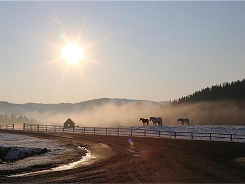 21 Chinook Ridge, Rural Foothills County, AB - Outdoor With View