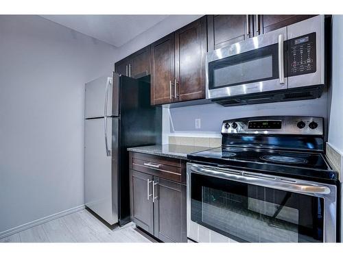 205-15 Saddlestone Way Ne, Calgary, AB - Indoor Photo Showing Kitchen