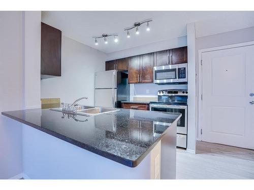 205-15 Saddlestone Way Ne, Calgary, AB - Indoor Photo Showing Kitchen With Double Sink