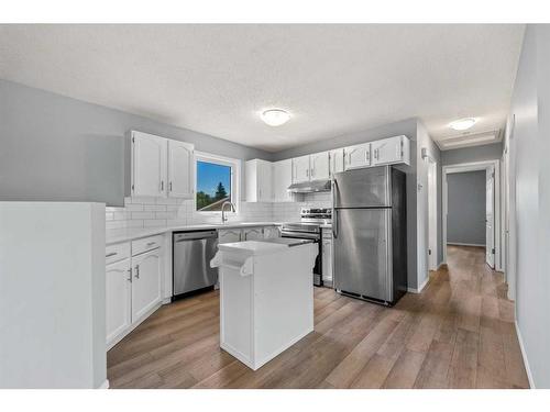 109 Hunterhorn Crescent Ne, Calgary, AB - Indoor Photo Showing Kitchen With Upgraded Kitchen
