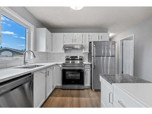 109 Hunterhorn Crescent Ne, Calgary, AB - Indoor Photo Showing Kitchen With Double Sink