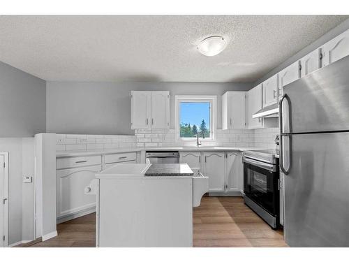 109 Hunterhorn Crescent Ne, Calgary, AB - Indoor Photo Showing Kitchen