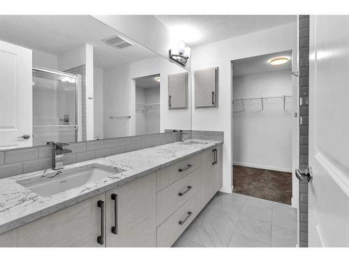 201-100 Harvest Hills Place Ne, Calgary, AB - Indoor Photo Showing Bathroom