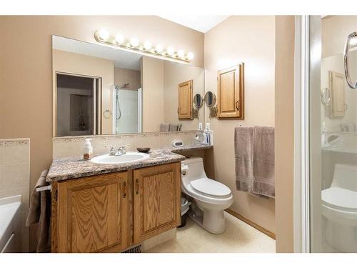 40 Harvest Park Road Ne, Calgary, AB - Indoor Photo Showing Bathroom