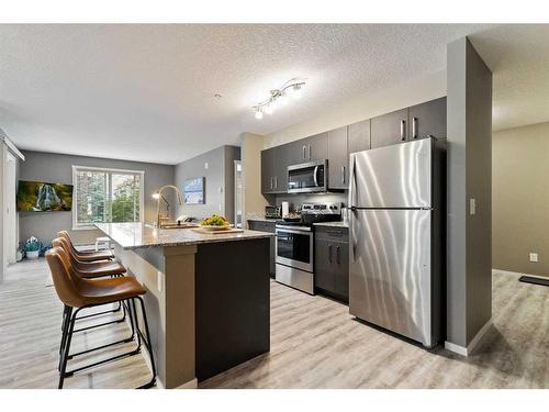 2220-4641 128 Avenue Ne, Calgary, AB - Indoor Photo Showing Kitchen With Stainless Steel Kitchen