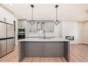 4834 87 Avenue Ne, Calgary, AB  - Indoor Photo Showing Kitchen With Upgraded Kitchen 