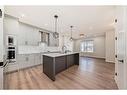 4834 87 Avenue Ne, Calgary, AB  - Indoor Photo Showing Kitchen With Upgraded Kitchen 