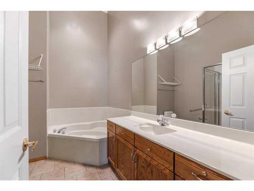 22 Douglasview Park Se, Calgary, AB - Indoor Photo Showing Bathroom