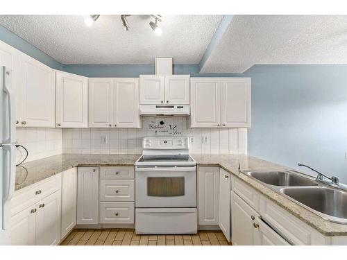 45 Falchurch Road Ne, Calgary, AB - Indoor Photo Showing Kitchen With Double Sink