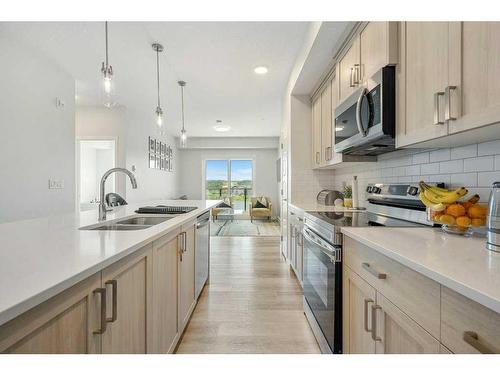 2306-42 Cranbrook Gardens Se, Calgary, AB - Indoor Photo Showing Kitchen With Double Sink With Upgraded Kitchen