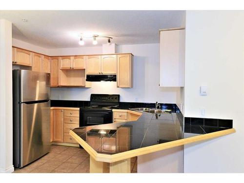 309-1631 28 Avenue Sw, Calgary, AB - Indoor Photo Showing Kitchen With Double Sink