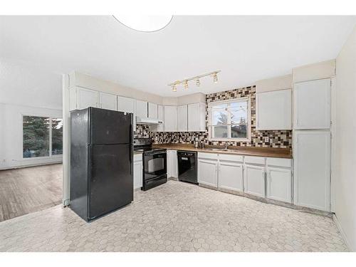 103 Castleridge Road Ne, Calgary, AB - Indoor Photo Showing Kitchen With Double Sink