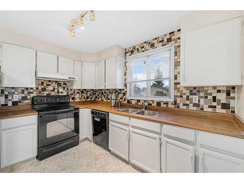 103 Castleridge Road Ne, Calgary, AB - Indoor Photo Showing Kitchen With Double Sink