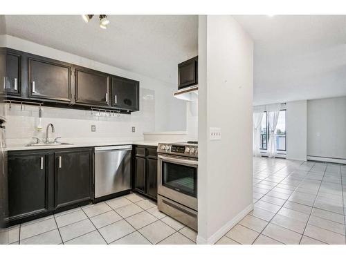 307-1900 25A Street Sw, Calgary, AB - Indoor Photo Showing Kitchen With Stainless Steel Kitchen