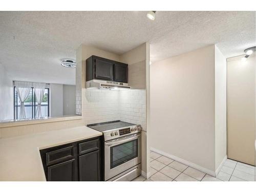 307-1900 25A Street Sw, Calgary, AB - Indoor Photo Showing Kitchen