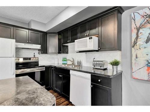 G1-835 19 Avenue Sw, Calgary, AB - Indoor Photo Showing Kitchen With Double Sink