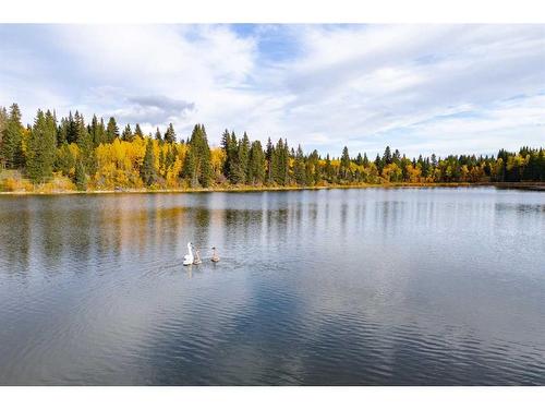 Scott Lake Ranch, Rural Rocky View County, AB - Outdoor With Body Of Water With View