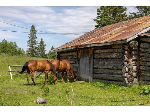 Scott Lake Ranch, Rural Rocky View County, AB - Outdoor