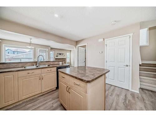 430 Saddlebrook Way Ne, Calgary, AB - Indoor Photo Showing Kitchen With Double Sink