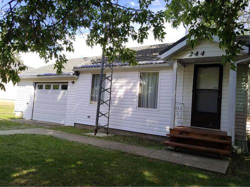 244 4 Avenue South, Big Valley, AB - Outdoor