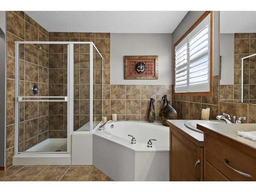 135 Chapman Circle Se, Calgary, AB - Indoor Photo Showing Bathroom