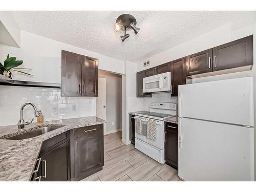 205-523 15 Avenue Sw, Calgary, AB - Indoor Photo Showing Kitchen