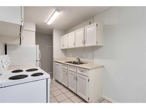 105-1602 11 Avenue Sw, Calgary, AB - Indoor Photo Showing Kitchen With Double Sink