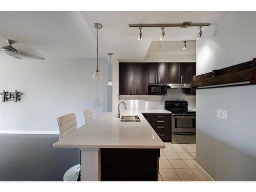 305-1000 Centre Avenue Ne, Calgary, AB - Indoor Photo Showing Kitchen With Double Sink