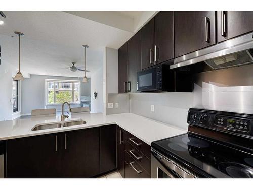 305-1000 Centre Avenue Ne, Calgary, AB - Indoor Photo Showing Kitchen With Double Sink