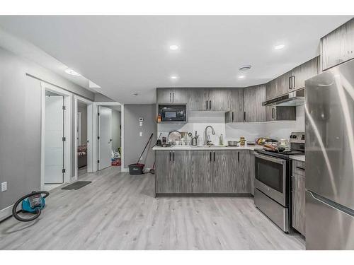 110 Red Sky Green Ne, Calgary, AB - Indoor Photo Showing Kitchen With Stainless Steel Kitchen With Upgraded Kitchen