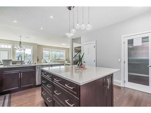 110 Red Sky Green Ne, Calgary, AB - Indoor Photo Showing Kitchen With Upgraded Kitchen