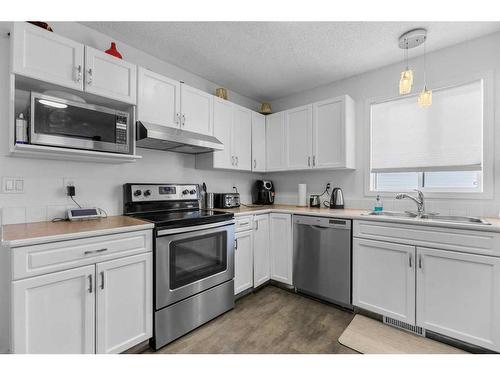 71 Applemead Court Se, Calgary, AB - Indoor Photo Showing Kitchen With Double Sink