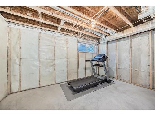 116 Carrington Boulevard Nw, Calgary, AB - Indoor Photo Showing Basement