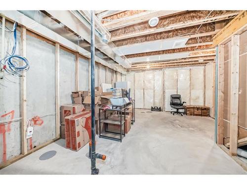 116 Carrington Boulevard Nw, Calgary, AB - Indoor Photo Showing Basement