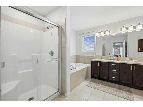 135 Masters Rise Se, Calgary, AB - Indoor Photo Showing Bathroom