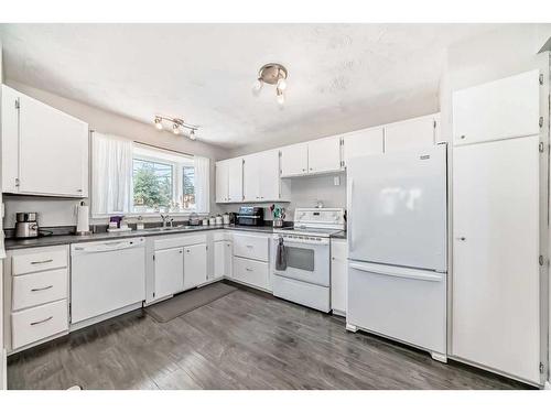 249 Acadia Drive Se, Calgary, AB - Indoor Photo Showing Kitchen With Double Sink