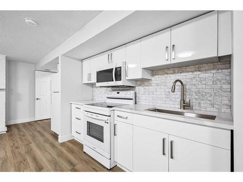 6112 4 Street Ne, Calgary, AB - Indoor Photo Showing Kitchen With Double Sink