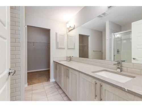 102-4350 Seton Drive Se, Calgary, AB - Indoor Photo Showing Bathroom