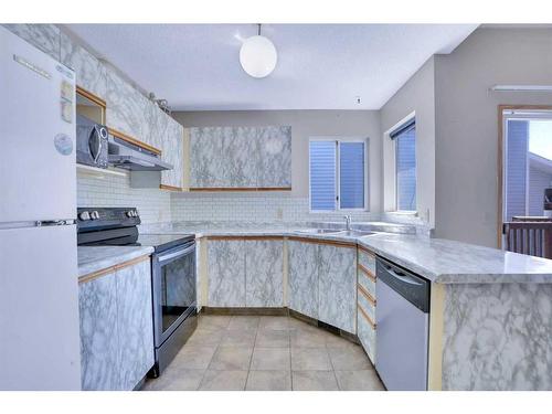 9029 21 Street Se, Calgary, AB - Indoor Photo Showing Kitchen With Double Sink