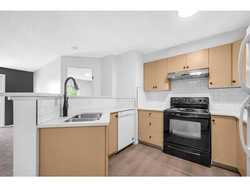 335-1717 60 Street Se, Calgary, AB - Indoor Photo Showing Kitchen With Double Sink