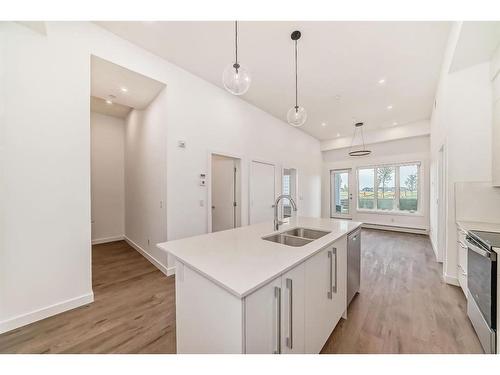 2121-60 Skyview Ranch Road Ne, Calgary, AB - Indoor Photo Showing Kitchen With Double Sink With Upgraded Kitchen