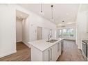 2121-60 Skyview Ranch Road Ne, Calgary, AB  - Indoor Photo Showing Kitchen With Double Sink With Upgraded Kitchen 