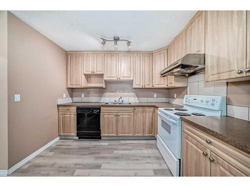 202-1119 78 Avenue Nw, Calgary, AB - Indoor Photo Showing Kitchen With Double Sink