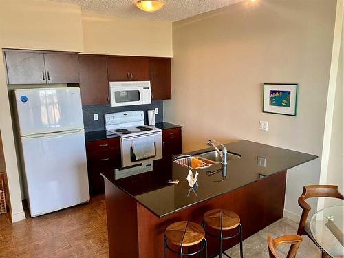 1203-8710 Horton Road Sw, Calgary, AB - Indoor Photo Showing Kitchen With Double Sink