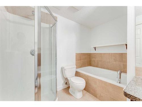 102-2316 17B Street Sw, Calgary, AB - Indoor Photo Showing Bathroom